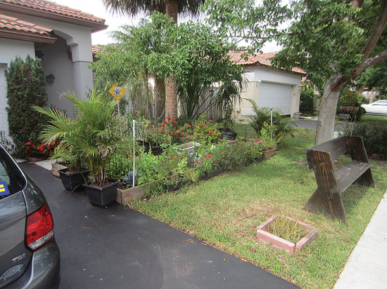 
Darrell Brock’s Florida Homeowners Association ordered him to remove his front yard vegetable garden or pay a hefty fine.
